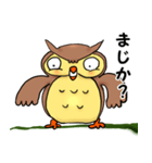 フクロウで一言（個別スタンプ：4）