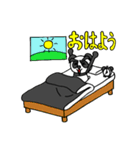 キリまゆパンダくん（個別スタンプ：24）