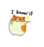 たねちゃんと英会話 1（個別スタンプ：3）
