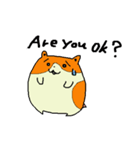 たねちゃんと英会話 1（個別スタンプ：4）