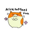 たねちゃんと英会話 1（個別スタンプ：5）
