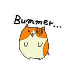 たねちゃんと英会話 1（個別スタンプ：6）