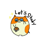 たねちゃんと英会話 1（個別スタンプ：17）