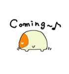 たねちゃんと英会話 1（個別スタンプ：33）