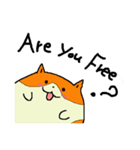 たねちゃんと英会話 1（個別スタンプ：34）
