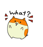 たねちゃんと英会話 1（個別スタンプ：39）