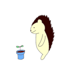 ハリネズミのドングリさん。（個別スタンプ：7）