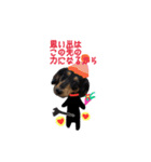 コロとコハル 激励の叫び（個別スタンプ：13）