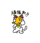 猫のラフティー（個別スタンプ：12）