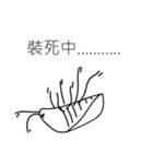 I am cockroach（個別スタンプ：4）