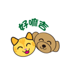 cat ＆ dog's family（個別スタンプ：16）