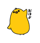 ひよ助（個別スタンプ：1）
