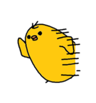ひよ助（個別スタンプ：36）