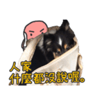 Red Bean and Black Nu. 02（個別スタンプ：23）