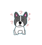 使える犬のスタンプ（個別スタンプ：7）