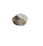 犬ちゃんズ（個別スタンプ：15）