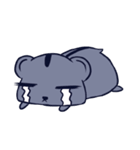 Hamster PaiPai（個別スタンプ：2）