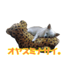 ちわわーーーん4（個別スタンプ：36）