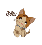 Bualoy Cat（個別スタンプ：1）