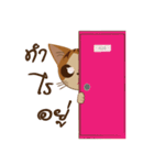 Bualoy Cat（個別スタンプ：3）
