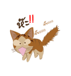 Bualoy Cat（個別スタンプ：7）