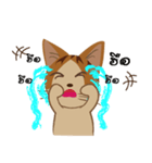 Bualoy Cat（個別スタンプ：9）
