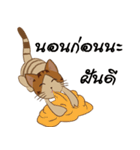Bualoy Cat（個別スタンプ：10）