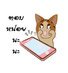 Bualoy Cat（個別スタンプ：12）