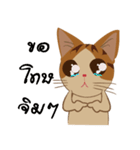 Bualoy Cat（個別スタンプ：13）