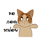 Bualoy Cat（個別スタンプ：16）