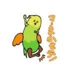 とりと仲間たち（個別スタンプ：1）