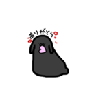 いづもと愉快な仲間たち（個別スタンプ：19）