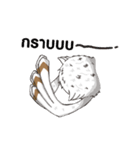 Hook（個別スタンプ：30）