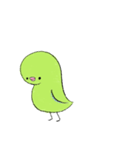 マメルリハのこまめちゃん（個別スタンプ：7）