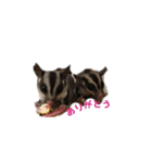 実写フクモモスタンプ（個別スタンプ：16）