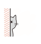 灰色ねこちゃん（個別スタンプ：13）