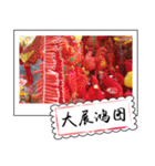 Chinese New Year greeting card3（個別スタンプ：8）