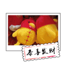 Chinese New Year greeting card3（個別スタンプ：9）