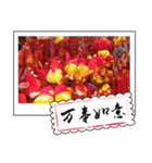 Chinese New Year greeting card3（個別スタンプ：14）