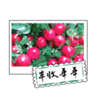 Chinese New Year greeting card3（個別スタンプ：15）