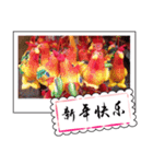 Chinese New Year greeting card3（個別スタンプ：23）