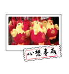 Chinese New Year greeting card3（個別スタンプ：24）