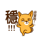 bandage bear＆shiba inu-talk（個別スタンプ：16）