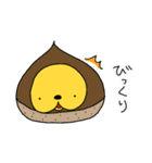 しりくま。（個別スタンプ：3）