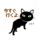 黒猫PUKU Ver.1（個別スタンプ：12）