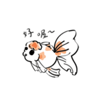 chubby goldfish（個別スタンプ：2）