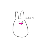 ひっそりとファンをしているうさぎ（個別スタンプ：11）