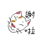 I am a stupid cat（個別スタンプ：2）