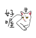 I am a stupid cat（個別スタンプ：3）