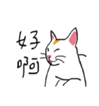 I am a stupid cat（個別スタンプ：4）